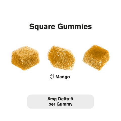 5mg Delta 9 Gummies - Mango - Chill Plus - Thumbnail 4