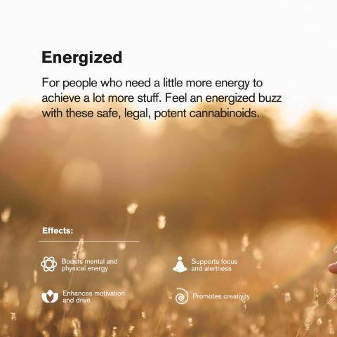 10mg Delta 9 Gummies - Strawberry - Chill Plus - Thumbnail 6