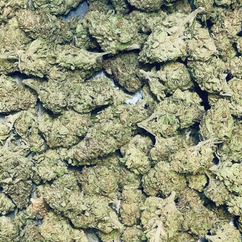 Alien Cookies Flower – Hybrid – THCA - Thumbnail 3