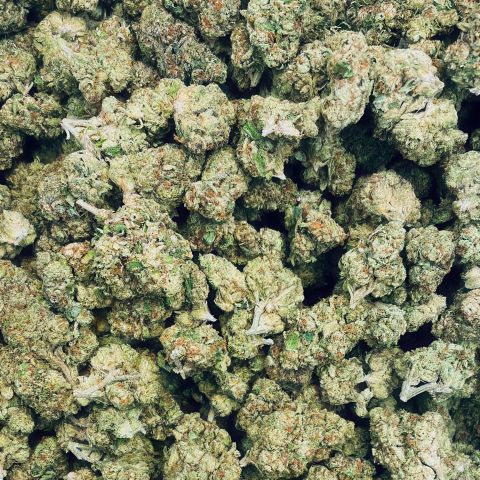 Durban Poison Flower – Sativa – THCA - Thumbnail 3