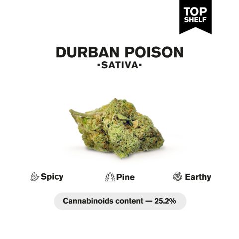 Durban Poison Flower – Sativa – THCA - Thumbnail 5
