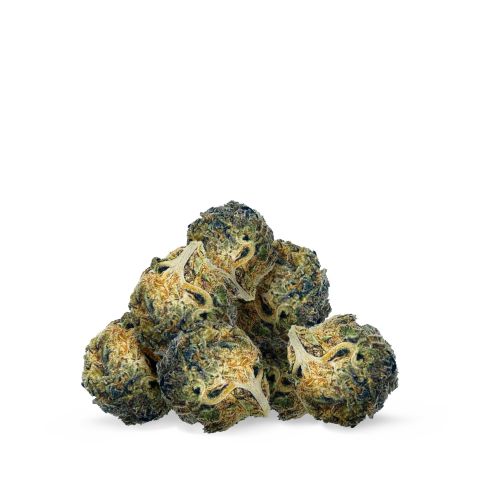 Gusher Cake Flower – Hybrid – THCA - Thumbnail 2