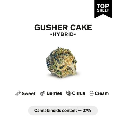 Gusher Cake Flower – Hybrid – THCA - Thumbnail 4