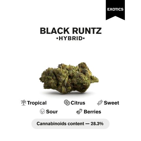 Black Runtz Flower – Hybrid – THCA - Thumbnail 4
