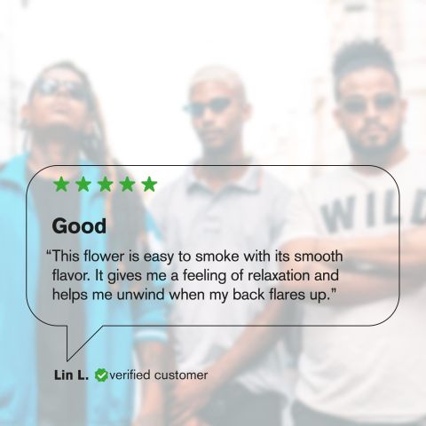 Gush Mintz Flower – Indica – THCA - Thumbnail 6