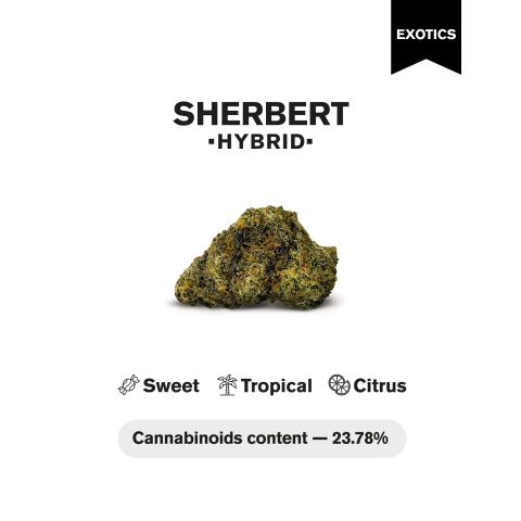 Sherbert Flower - Hybrid - THCA - Thumbnail 4