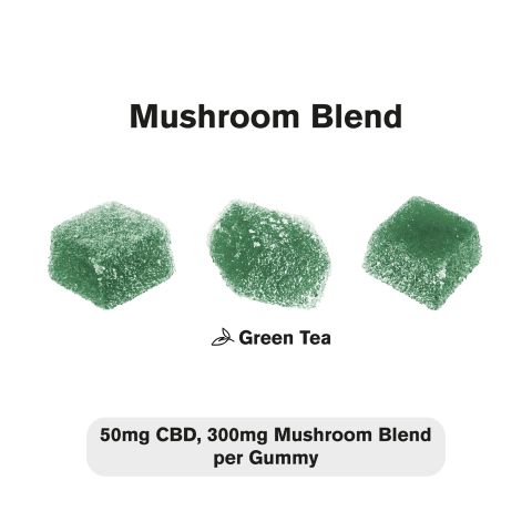 50mg Broad Spectrum CBD & Mushroom Blend Gummies - Chill - Thumbnail 4