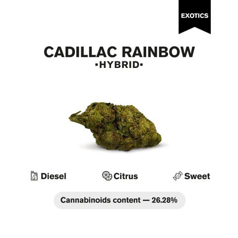 Cadillac Rainbow Flower – Hybrid – THCA - Thumbnail 4
