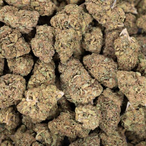 Pink Rosay Flower – Indica – THCA - Thumbnail 2