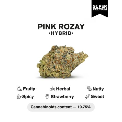 Pink Rosay Flower – Indica – THCA - Thumbnail 5