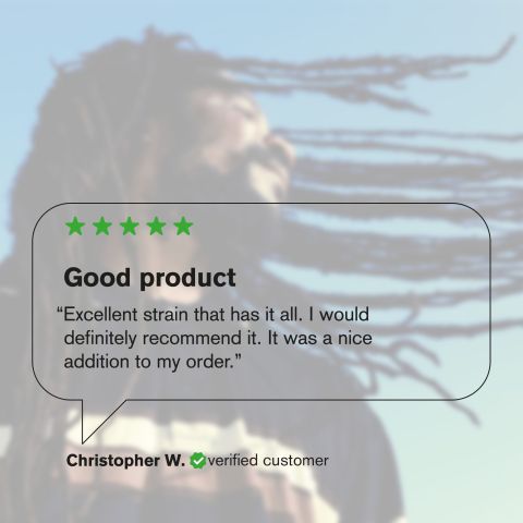 Secret Breakfast Flower - Hybrid - THCA - Thumbnail 7