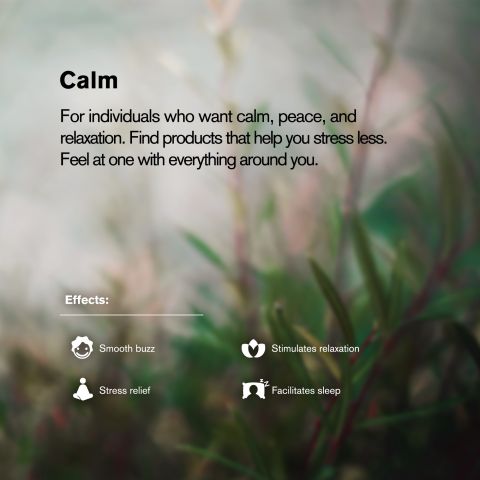 25mg Delta 8 Capsules - 60ct - Chill Plus - Thumbnail 6