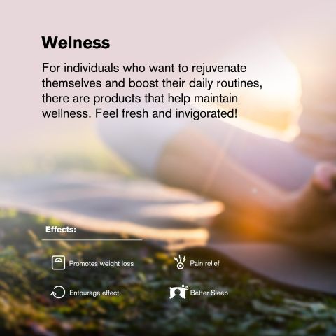 60mg CBD & THCV Capsules - 60ct - Canna Slim - Thumbnail 6