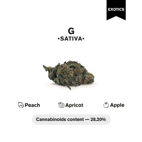 G Flower – Sativa – THCA - Thumbnail 4