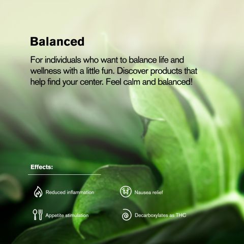 Peanut Butter Breath Flower – Sativa – THCA - Thumbnail 6