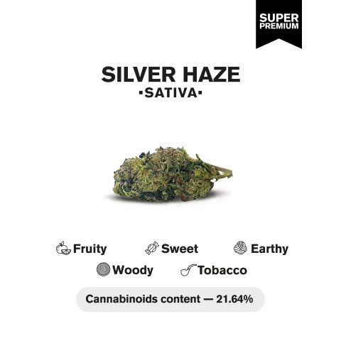 Silver Haze Flower – Sativa – THCA - Thumbnail 4