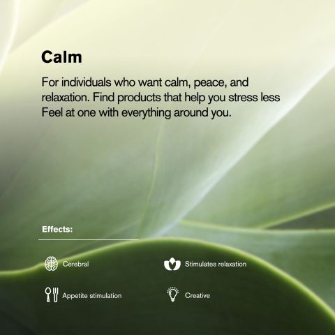 Snowflake Flower - Hybrid - THCA - Thumbnail 7