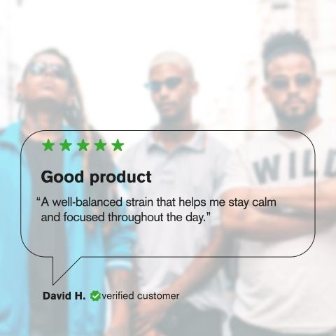 Melonatta Flower – Hybrid – THCA - Thumbnail 7