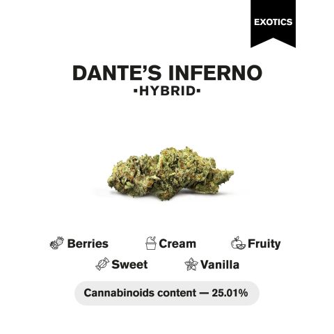 Dante's Inferno Flower - Hybrid - THCA - Thumbnail 4