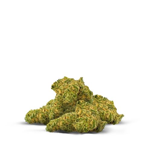 Hammerhead Flower – Indica – THCA - Thumbnail 2