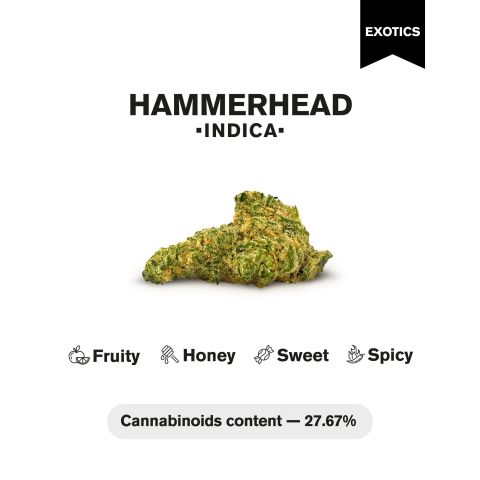 Hammerhead Flower – Indica – THCA - Thumbnail 4