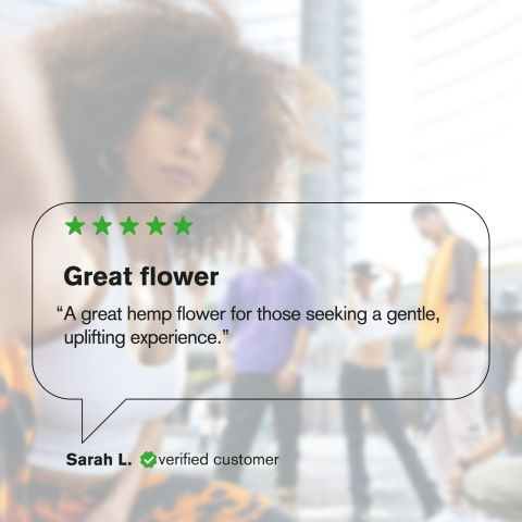 Lava Cake Flower – Indica – THCA - Thumbnail 7