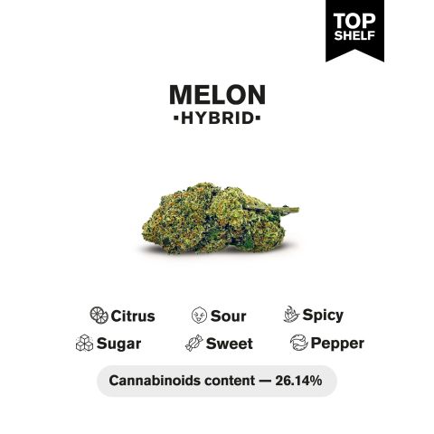 Melon Flower – Hybrid – THCA - Thumbnail 4