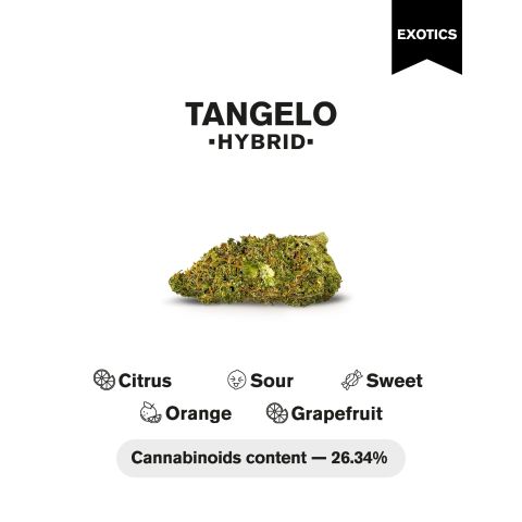 Tangelo Flower – Hybrid – THCA - Thumbnail 4