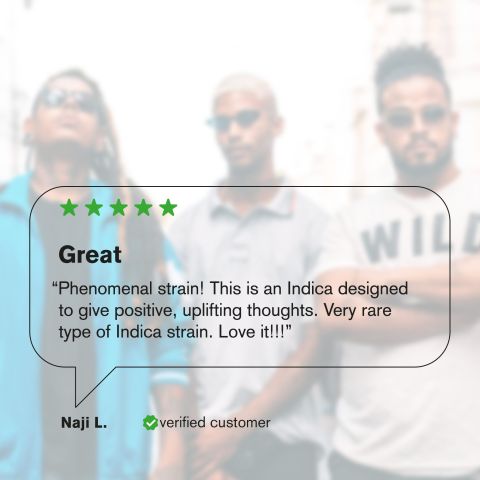 ZZ Flower – Indica – THCA - Thumbnail 7