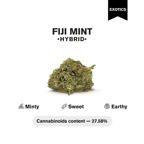 Fiji Mint Flower – Hybrid – THCA - Thumbnail 4