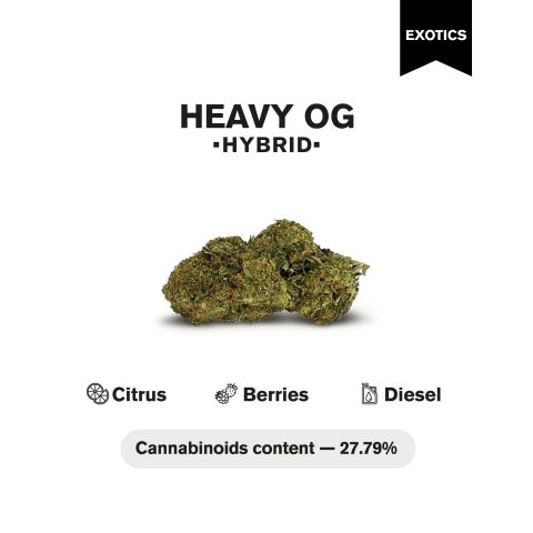 Heavy OG Flower – Hybrid – THCA - Thumbnail 4