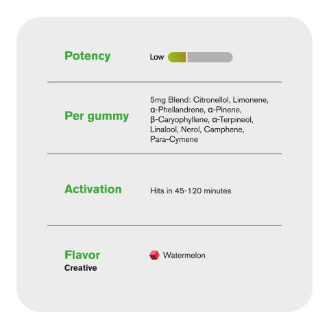 10mg Terpene Gummies - Creative - Watermelon - Terps Gummies - Thumbnail 5