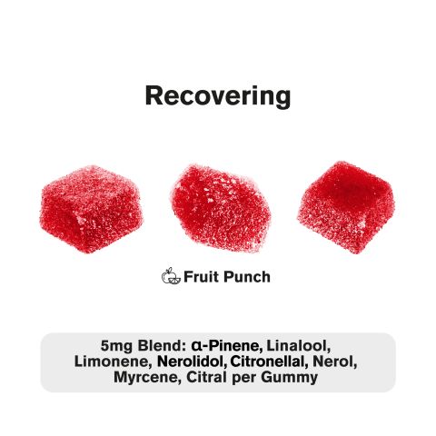 10mg Terpene Gummies - Recovering - Fruit Punch - Terps Gummies - Thumbnail 4