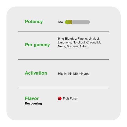 10mg Terpene Gummies - Recovering - Fruit Punch - Terps Gummies - Thumbnail 5