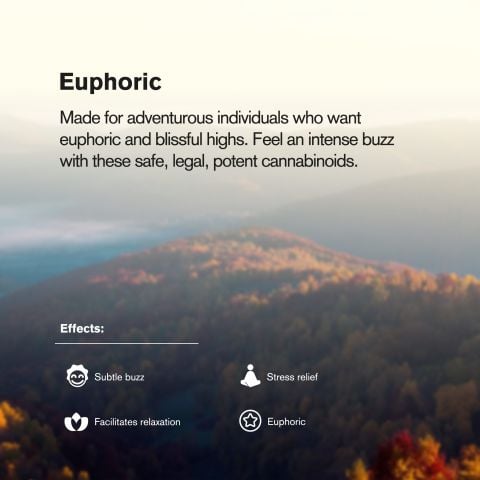 6000mg HHC Vape Pen - Girl Scout Cookies - Indica - 6ml - Fresh - Thumbnail 6