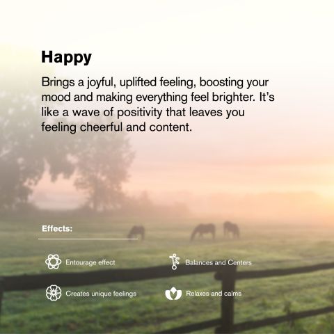 Happy Blend - 2000mg Vape Cart - Sativa - 2ml - Blends by Fresh - Thumbnail 6