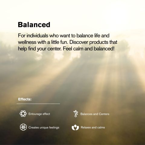 Introvert Blend - 2000mg Vape Cart - Indica - 2ml - Blends by Fresh - Thumbnail 6