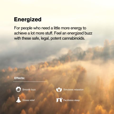 2000mg D8 Vape Cart - Green Crack - Sativa - 2ml - Chill Plus - Thumbnail 6