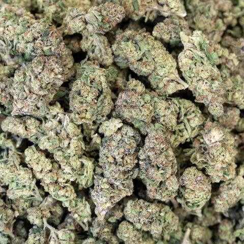 Walrus Kush Flower - Hybrid - THCA - Thumbnail 2