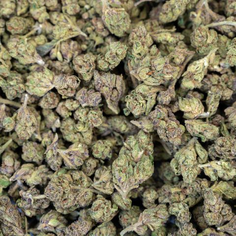 Gelato Haze Flower – Hybrid – THCA - Thumbnail 3