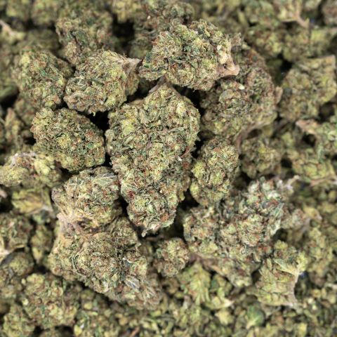 Jungle Juice Flower – Hybrid – THCA - Thumbnail 3