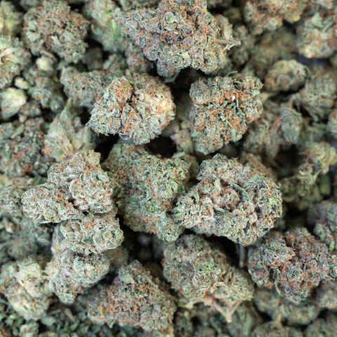 Italian Ice Flower – Hybrid – THCA - Thumbnail 3