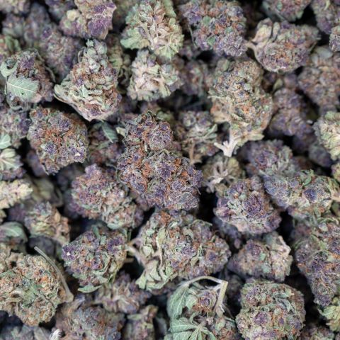 Pink Runtz Flower - Hybrid - THCA - Thumbnail 3