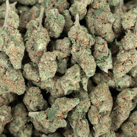 Blue Satellite Flower – Sativa – THCA - Thumbnail 2