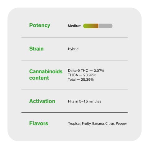 Banana Flower – Hybrid – THCA - Thumbnail 4