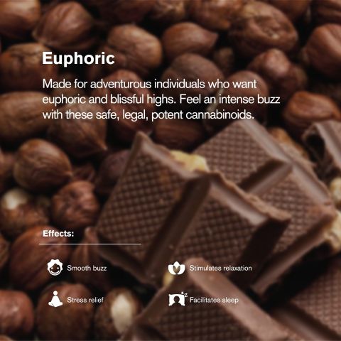 100mg Hazelnut Cream + Milk Chocolate Waffle Cones - D8 & THCP - Chill Plus - Thumbnail 5