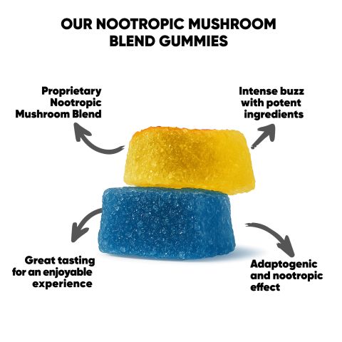 22.5mg Nootropic Mushroom Blend Gummies - Mushroom Blend - Fruity Mix - Hocus Pocus - Thumbnail 7