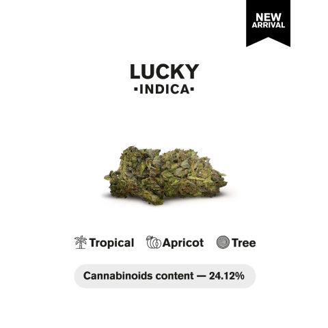 Lucky Flower – Indica – THCA - Thumbnail 5