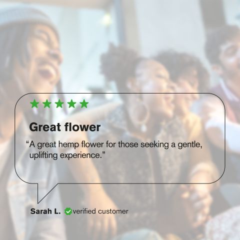 Lemon Bean Flower – Sativa – THCA - Thumbnail 3