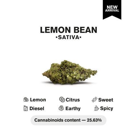 Lemon Bean Flower – Sativa – THCA - Thumbnail 4